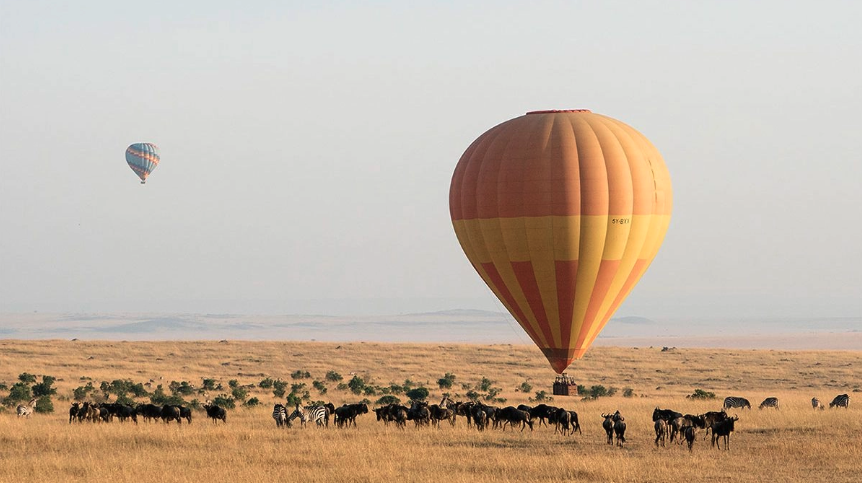 Hot Air Balloon Safari